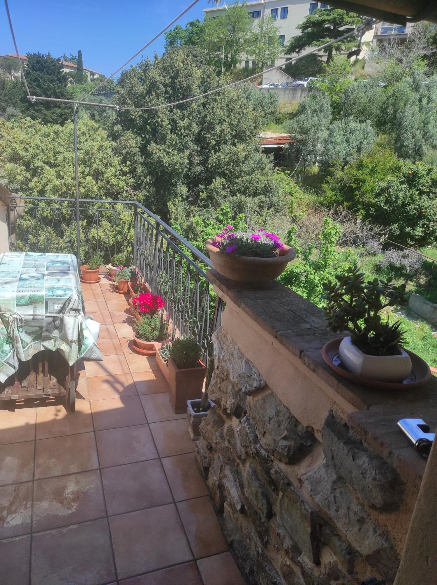 Casa Dei Nonni 57021 Apartman Campiglia Marittima Kültér fotó